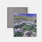 Berge und Wildblumen auf der Alp-Wiese, Magnet (Vorderseite/Rückseite)