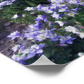 Berge und Wildblumen auf der Alp-Wiese, Poster (Ecke)