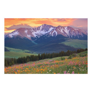Berge und Wildblumen Druckfarben Fotodruck