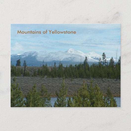 Berge von Yellowstone-Postkarte Postkarte (Vorderseite)