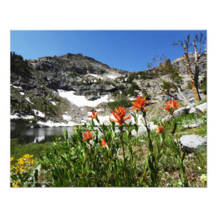 Berge, Wildblumen, See Foto Print 20" x 16"