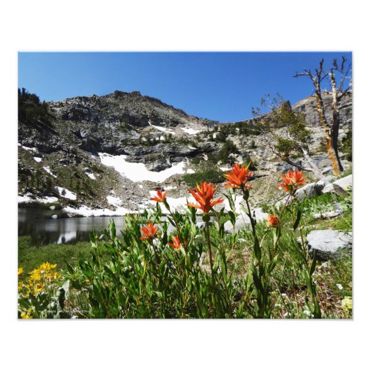 Berge, Wildblumen, See Foto Print 20" x 16" (Vorne)
