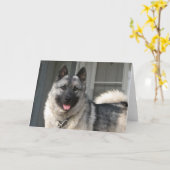 Bergenlächeln Karte (Gelbe Blume)