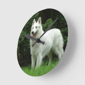 Berger Blanc Suisse Dog Runde Wanduhr (Winkel)