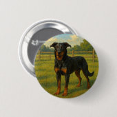 Berger de Beauce Button (Vorne & Hinten)