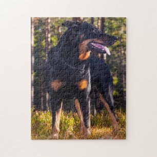 Berger de Beauce Schäferhund. Puzzle