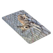 Berger de Picardie Magnet (Rechte Seite)