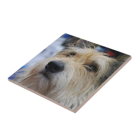 Berger Picard Fliese (Seite)