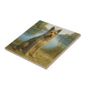 Berger Picard Fliese (Seite)