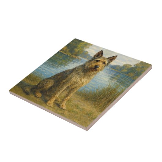 Berger Picard Fliese (Seite)