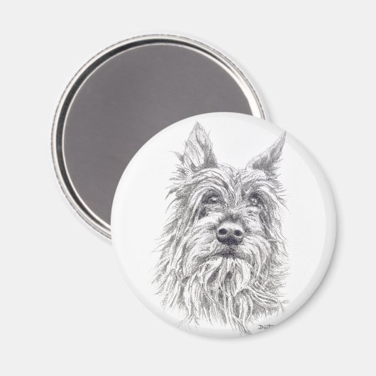 Berger Picard Magnet (Vorderseite/Rückseite)