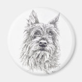 Berger Picard Magnet (Vorne)