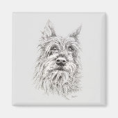 Berger Picard Magnet (Vorne)