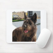 Berger Picard Mousepad (Mit Mouse)