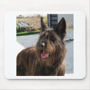 Berger Picard Mousepad
