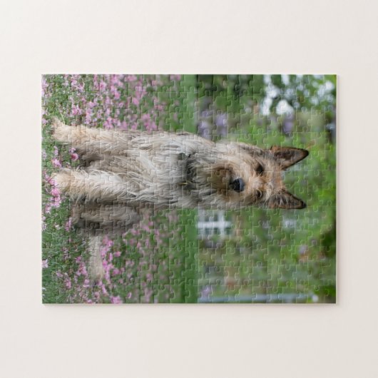 Berger Picard Puzzle (Horizontal)