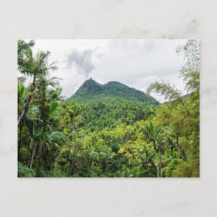 Bergewirr und el-yunque Landschaft Postkarte