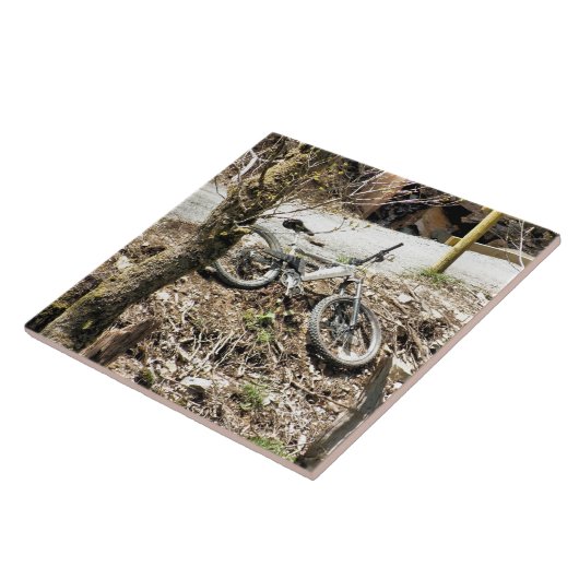 BERGFAHREN FLIESE (Seite)