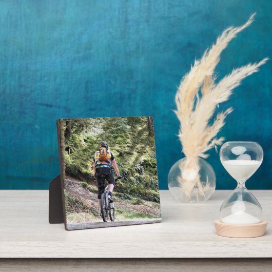 BERGFAHREN FOTOPLATTE (InSitu)