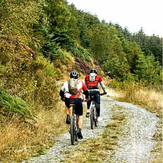 BERGFAHREN LEINWANDDRUCK