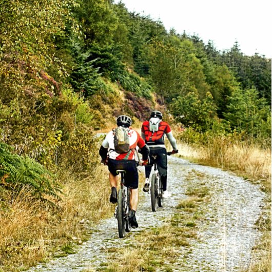 BERGFAHREN POSTKARTE