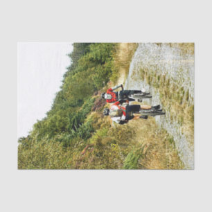 BERGFAHREN SEIDENPAPIER
