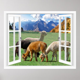 Bergfensterblick mit Alpaka Poster