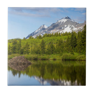 Berggipfel spiegeln sich in einem Biberteich Fliese