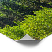 Berggipfel und Wälder am goldenen Tor Poster (Ecke)