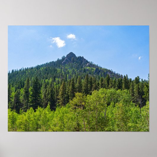 Berggipfel und Wälder am goldenen Tor Poster (Vorne)