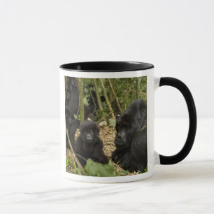 Berggorilla, Erwachsener mit Jungtier Tasse