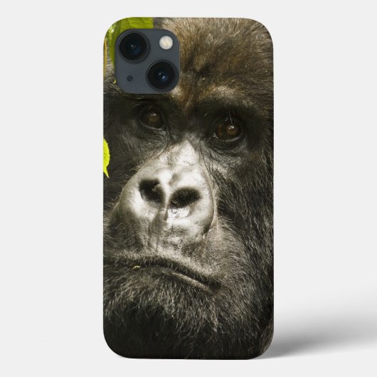 Berggorilla, Gorilla beringei beringei, Case-Mate iPhone Hülle (Rückseite)