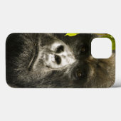 Berggorilla, Gorilla beringei beringei, Case-Mate iPhone Hülle (Rückseite (Horizontal))