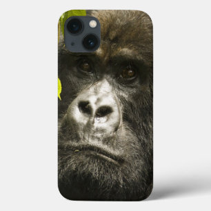 Berggorilla, Gorilla beringei beringei, Case-Mate iPhone Hülle