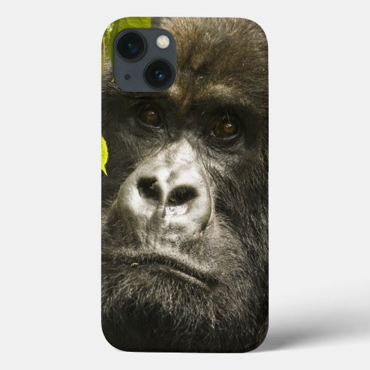 Berggorilla, Gorilla beringei beringei, Case-Mate iPhone Hülle (Rückseite)