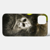 Berggorilla, Gorilla beringei beringei, Case-Mate iPhone Hülle (Rückseite (Horizontal))