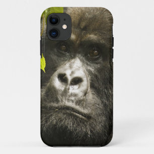 Berggorilla, Gorilla beringei beringei, Case-Mate iPhone Hülle