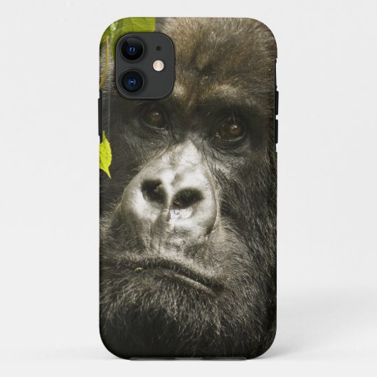 Berggorilla, Gorilla beringei beringei, Case-Mate iPhone Hülle (Rückseite)