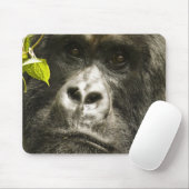 Berggorilla, Gorilla beringei beringei, Mousepad (Mit Mouse)