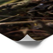 Berggorilla | Gorilla Beringei Beringei Poster (Ecke)