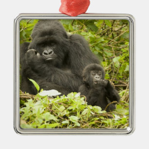 Berggorilla, Gorilla beringei (früher G. Ornament Aus Metall