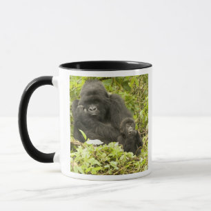 Berggorilla, Gorilla beringei (früher G. Tasse