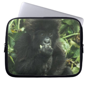 Berggorilla, (Gorilla gorilla beringei), Laptopschutzhülle