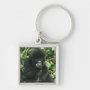 Berggorilla, (Gorilla gorilla beringei), Schlüsselanhänger