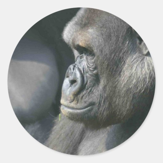 BergGorilla Stickers (Vorderseite)