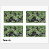 Berggorillagruppen-Rechteckaufkleber Rechteckiger Aufkleber (Blatt)