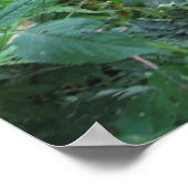 Berggorillas Poster (Ecke)