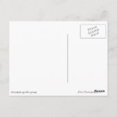 Berggorillengruppe Weiße Uganda Postkarte (Rückseite)