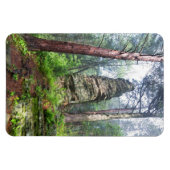 Berghang im Staat Magnet (Horizontal)