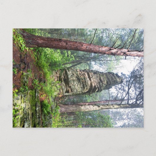 Berghang im Staat Postkarte (Vorderseite)